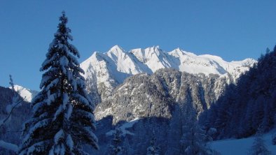 Ausblick genießen von Apartment 1