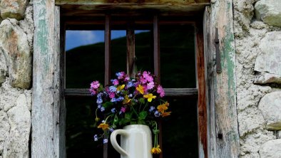 Wiesenblumen