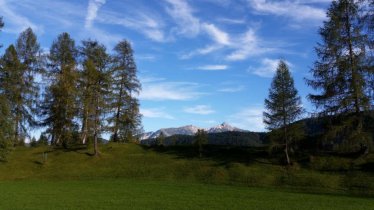 Spazieren im Leutaschtal