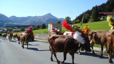 Almabtrieb  im September