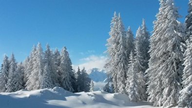 Winterlandschaft