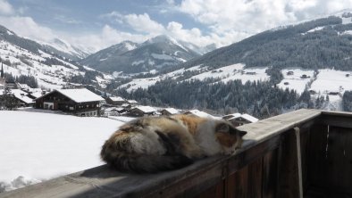 Aussicht im Winter, © Heachhof/Schwarzenauer