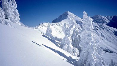 Schneereichtum Blick Gebra