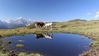 Wandern am Thurntaler direkt vor der Haustür, © TVB Osttirol/Leiter Peter