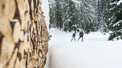 Langlaufen durch den Wald