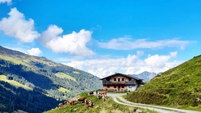 Lehenhof_Alpbach (5)