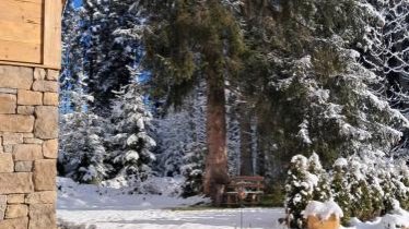 das historische MEIXNER am Rerobichl Bezirk Kitzbühel, © bookingcom