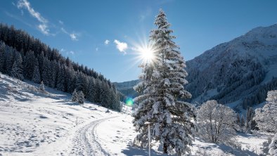 Schönanger_Wildschönau, © Wildschönau Tourismus