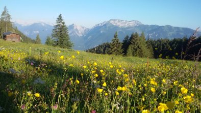 Moaeben Alpbach Holralm