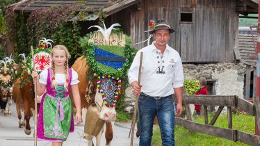 Beautifully decked out, the cows are herded home from summer grazing in the mountains of the First Region of Zillertal Valley, © Erste Ferienregion im Zillertal / Walter Kraiger