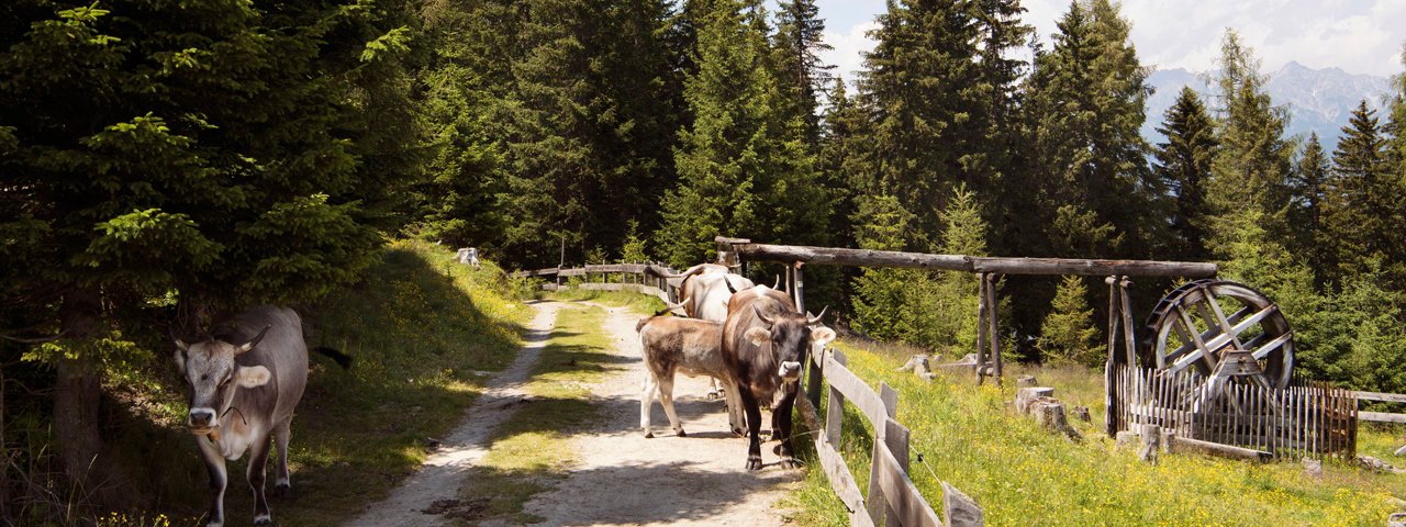 The Family Park, © Tirol Werbung/Frank Bauer