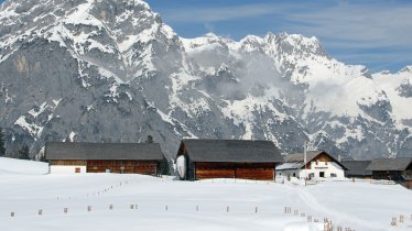 Snowshoe Walk to Walderalm in Gnadenwald, © Foto Athesia Tappeiner