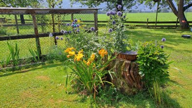 Alte Wurzel mit Blumenpracht