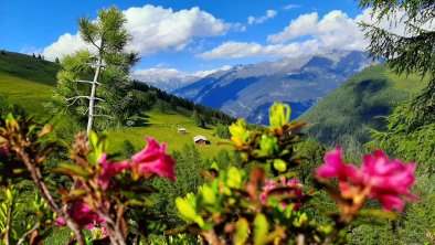 Grenerhof-Almwanderung