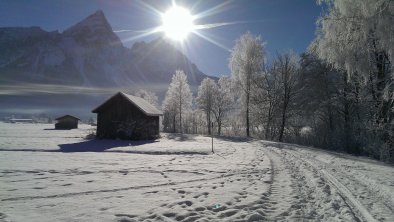 Winterbild Ehrwald Moos 3