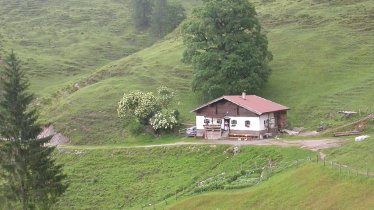 Bacheralm in the Kitzbühel Alps, © Irene Prugger