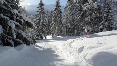 Spazierweg Richtung Dorf