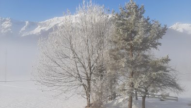 Wohnzimmerausblick Richtung Skigebiet Christlum1