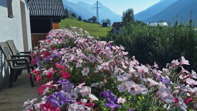 Gsörhof Sommer 2024