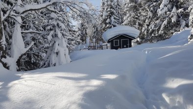 Winterwanderung in der Zillertal Arena