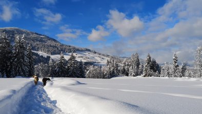 Winterlandschaft, © Kathrin Schmid