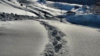 Bichlhof Kaisers Austria footprints in the snow