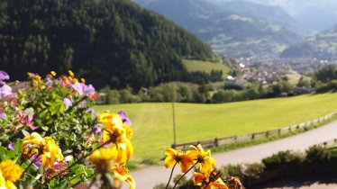 Aussicht Blumen, © Gästeheim Pötscher