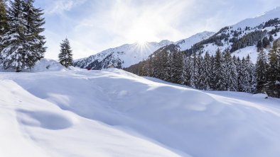 Winterwandern Schönangeralm Wildschönau Auffach Re