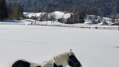 Winterlandschaft