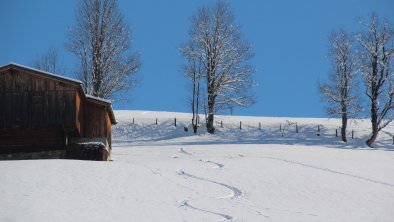 Moahof Appartements Alpbach, Spuren im Schnee, © Klingler Sandra