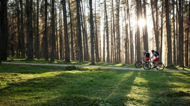 Riding near Ehrwald, © Tiroler Zugspitz Arena/U. Wiesmeier