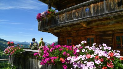 Bauernhof Außerrossmoos Alpbach_Wandern_Sommer_Alp