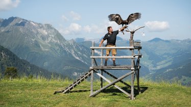 The Eagle Stage on Ahorn Mountain in Mayrhofen, © Mayrhofen Bergbahnen