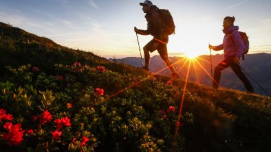 Sunrise in the Zillertal Alps