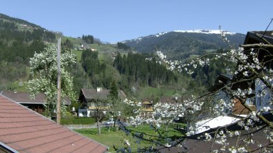 Frühling, © MartinPfister