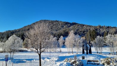 Aussicht Winter Wildsee