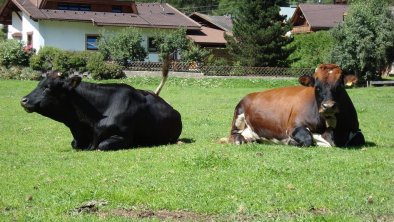 Natur pur, © Apart Stipplerhof