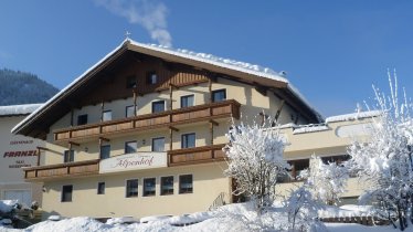 Alpenhof Wildschönau Skijuwel Niederau Zentrum