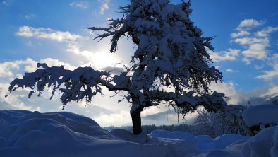 Winter, © Kathrin Schmid