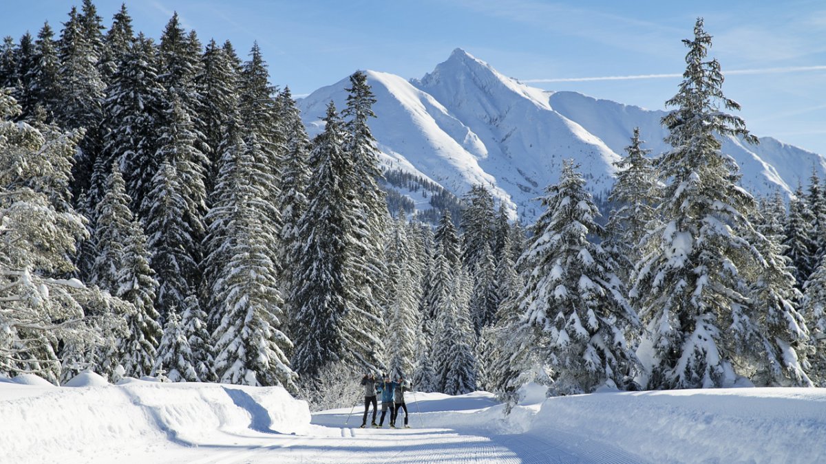 © Tirol Werbung /Johannes Aitzetmüller