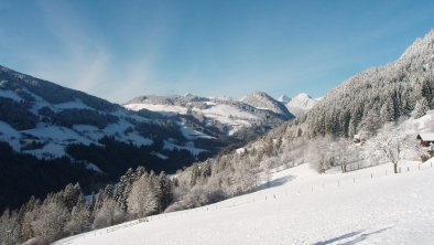 Blick talauswärts, © Fam. Hausberger