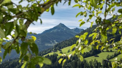 Aussicht vom Haus