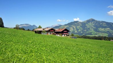 Entalhof-Sommer-Header