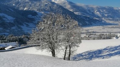 Aussicht Winter (6)