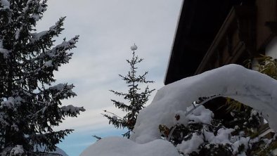 Dezember Schneekugelbaum