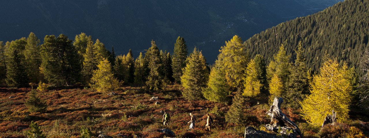 Autumn scenery along the route, © TVB Paznaun-Ischgl