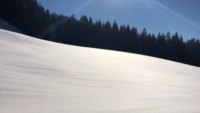 Blick  auf die frisch verschneite Wiese