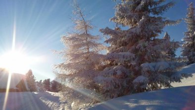 Winterlandschaft Hochzillertal