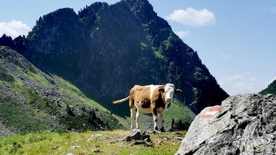 alpbachloft_alpbachtal_fromsmallgaltenberg, © Anna-Christina Moser