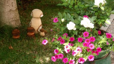 Pilze und Blumen auf der Gamberg-Terrasse